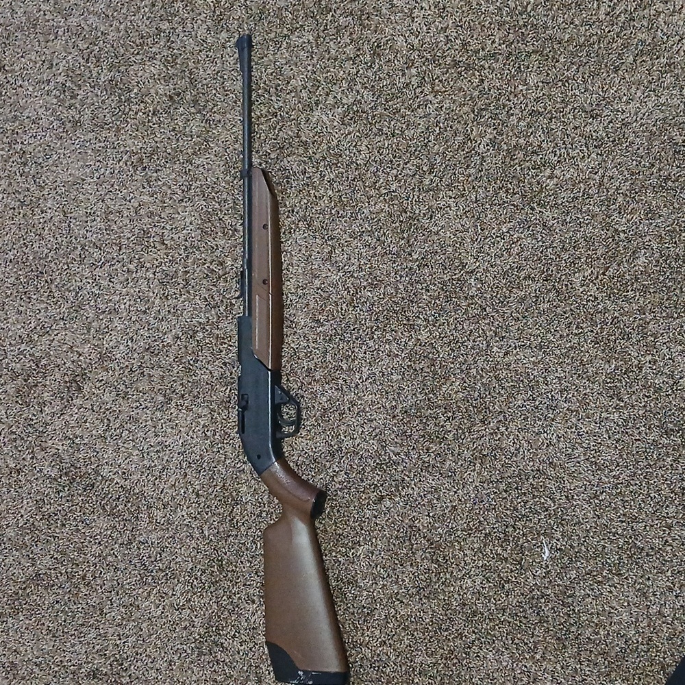 BeeBee Gun